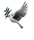 ��ɱ������ͼ������鼮�����ο���