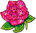һ���й���